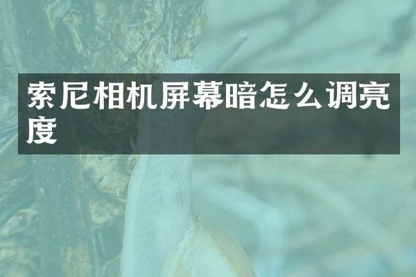 索尼相机屏幕暗怎么调亮度