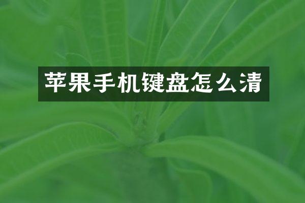 苹果手机键盘怎么清