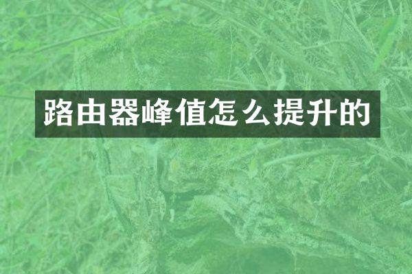 路由器峰值怎么提升的