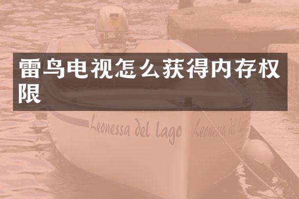 雷鸟电视怎么获得内存权限