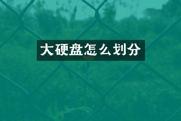 大硬盘怎么划分