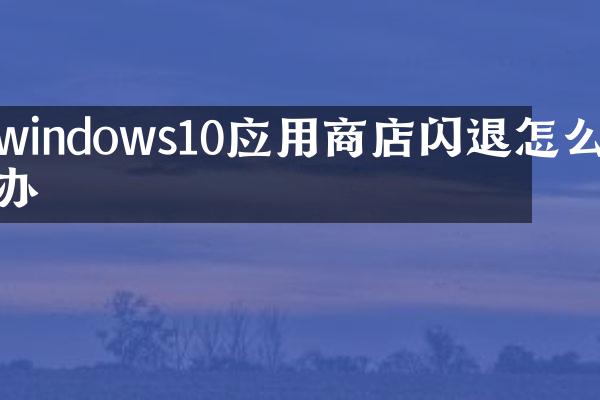 windows10应用商店闪退怎么办
