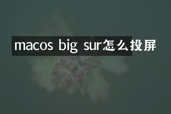 macos big sur怎么投屏