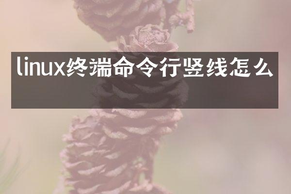linux终端命令行竖线怎么打