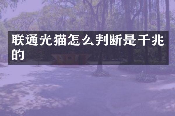 联通光猫怎么判断是千兆的