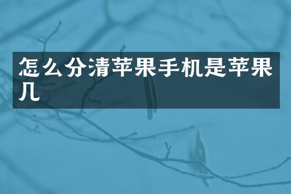 怎么分清苹果手机是苹果几
