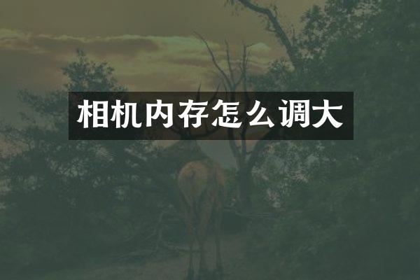 相机内存怎么调大