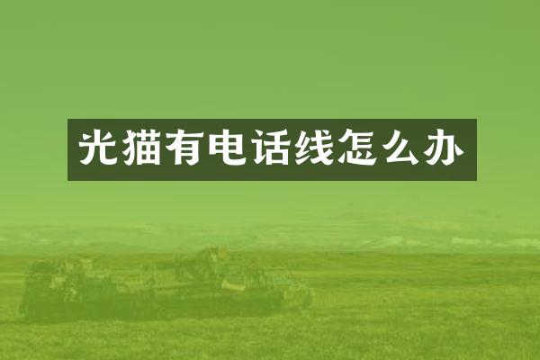 光猫有电话线怎么办
