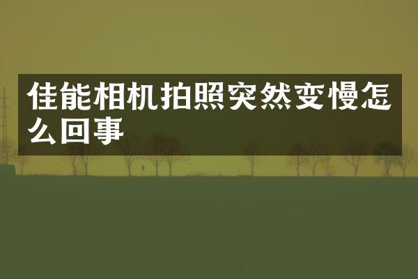 佳能相机拍照突然变慢怎么回事