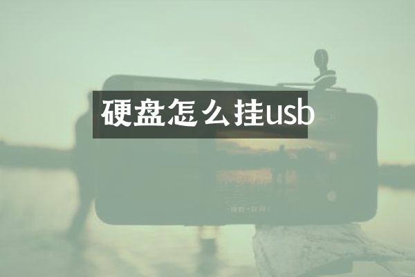 硬盘怎么挂usb