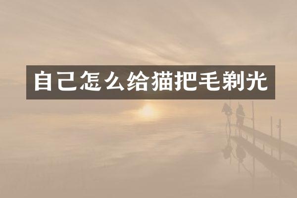 自己怎么给猫把毛剃光