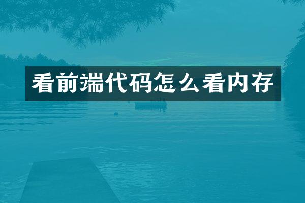 看前端代码怎么看内存