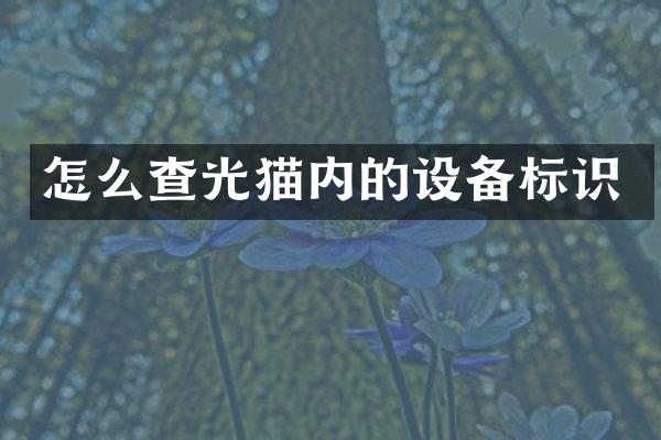 怎么查光猫内的设备标识