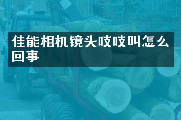 佳能相机镜头吱吱叫怎么回事