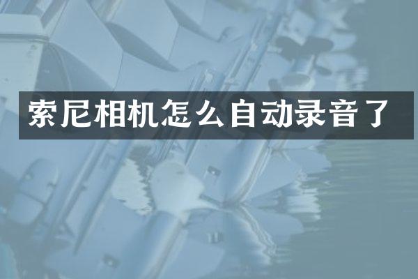 索尼相机怎么自动录音了