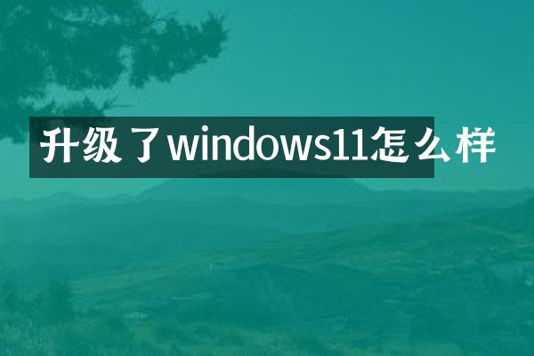 升级了windows11怎么样