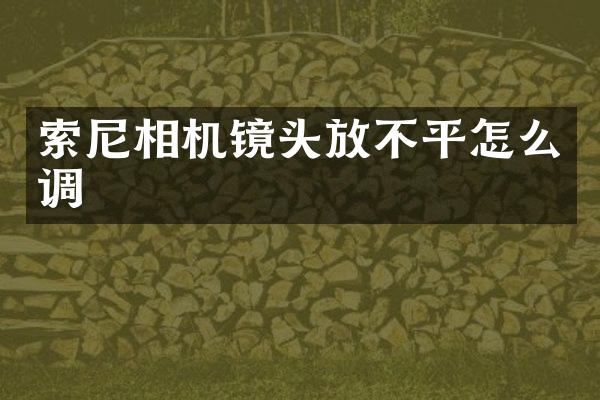 索尼相机镜头放不平怎么调