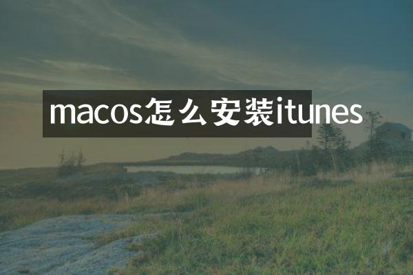macos怎么安装itunes