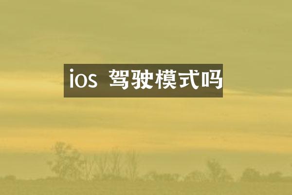 ios 驾驶模式吗