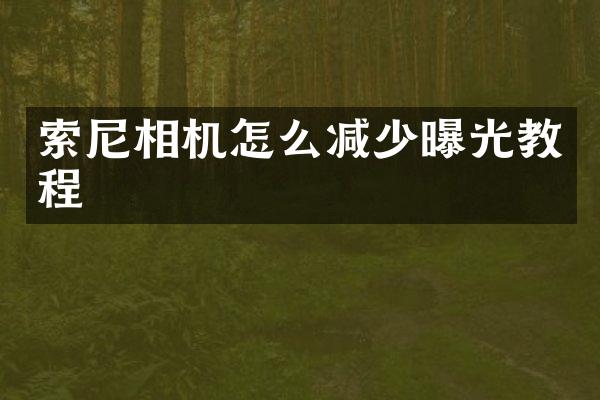 索尼相机怎么减少曝光教程