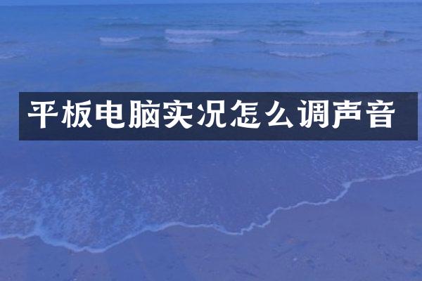 平板电脑实况怎么调声音