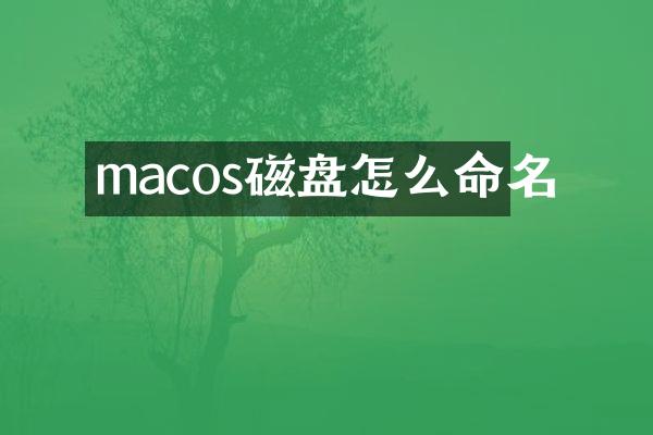 macos磁盘怎么命名