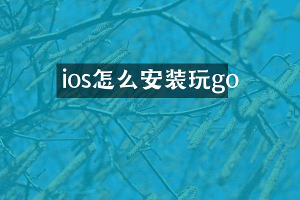 ios怎么安装玩go