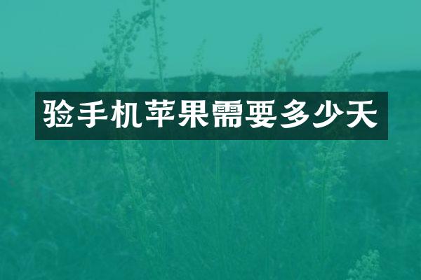 验手机苹果需要多少天