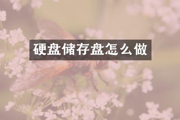 硬盘储存盘怎么做