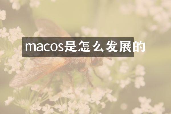 macos是怎么发展的
