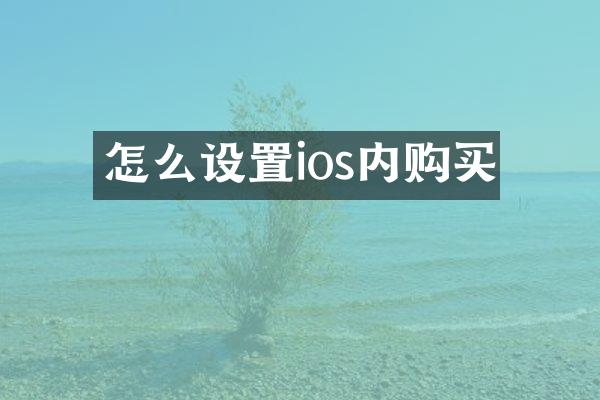 怎么设置ios内购买
