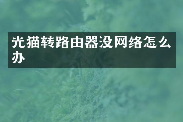 光猫转路由器没网络怎么办