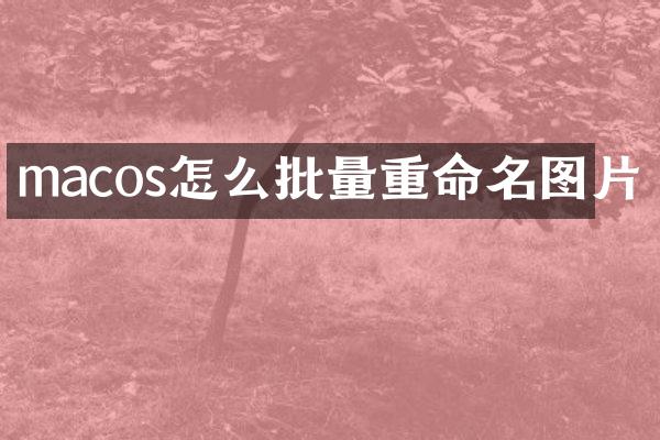 macos怎么批量重命名图片