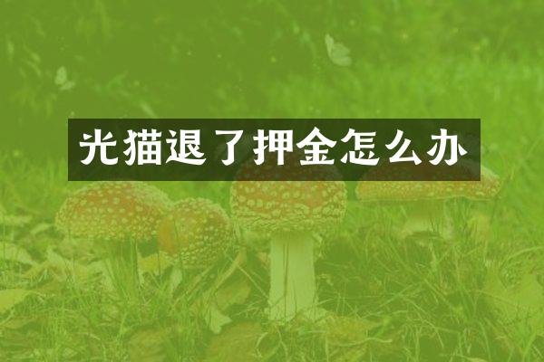 光猫退了押金怎么办