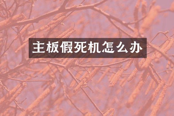 主板假死机怎么办