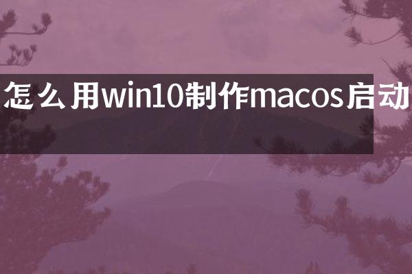 怎么用win10制作macos启动盘