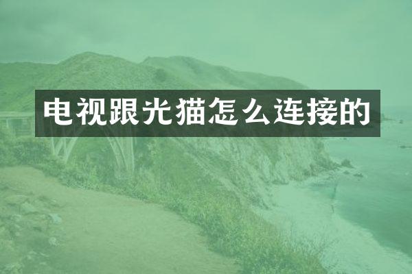 电视跟光猫怎么连接的