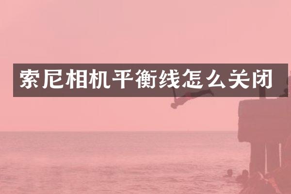 索尼相机平衡线怎么关闭