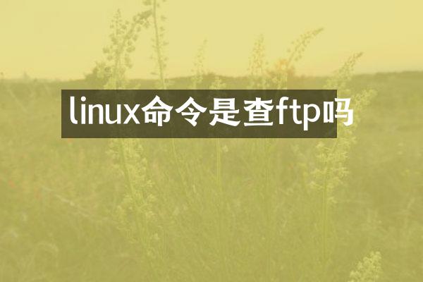 linux命令是查ftp吗