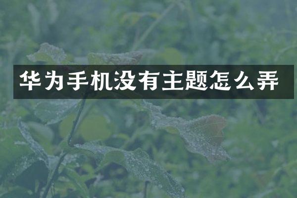 华为手机没有主题怎么弄