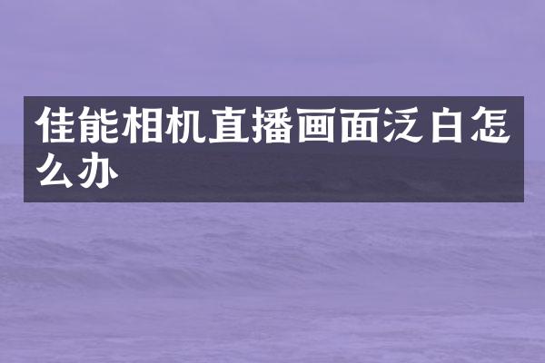 佳能相机直播画面泛白怎么办