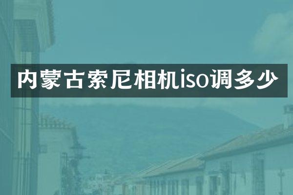 内蒙古索尼相机iso调多少