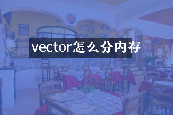 vector怎么分内存