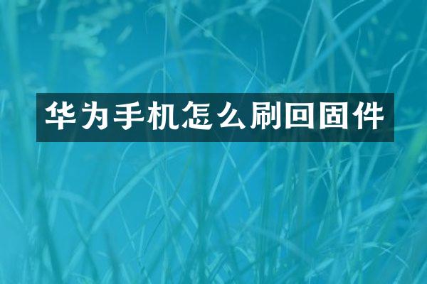 华为手机怎么刷回固件