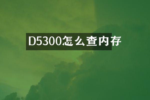 D5300怎么查内存