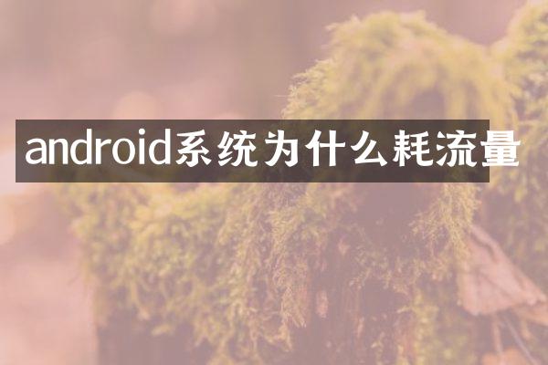 android系统为什么耗流量