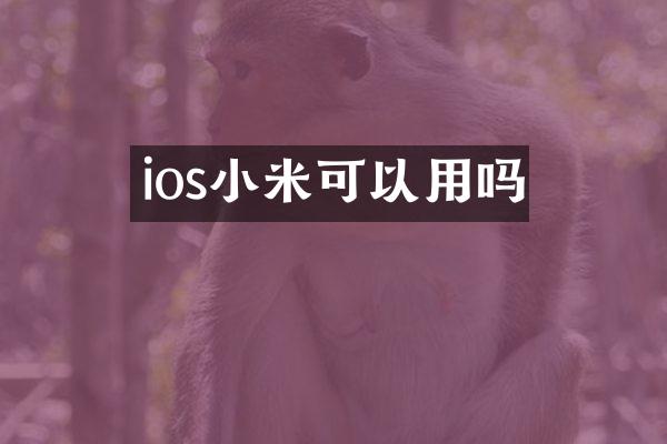 ios小米可以用吗