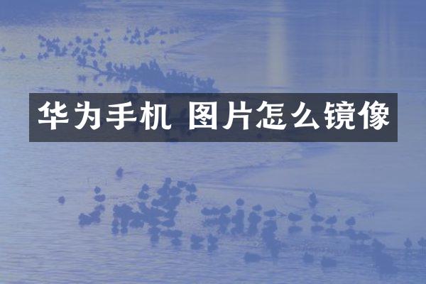 华为手机 图片怎么镜像