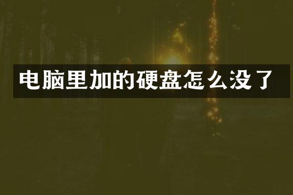 电脑里加的硬盘怎么没了