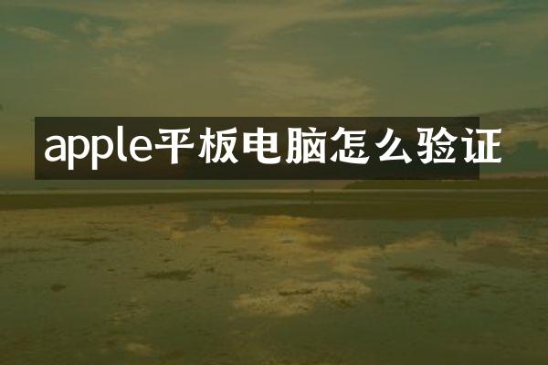 apple平板电脑怎么验证